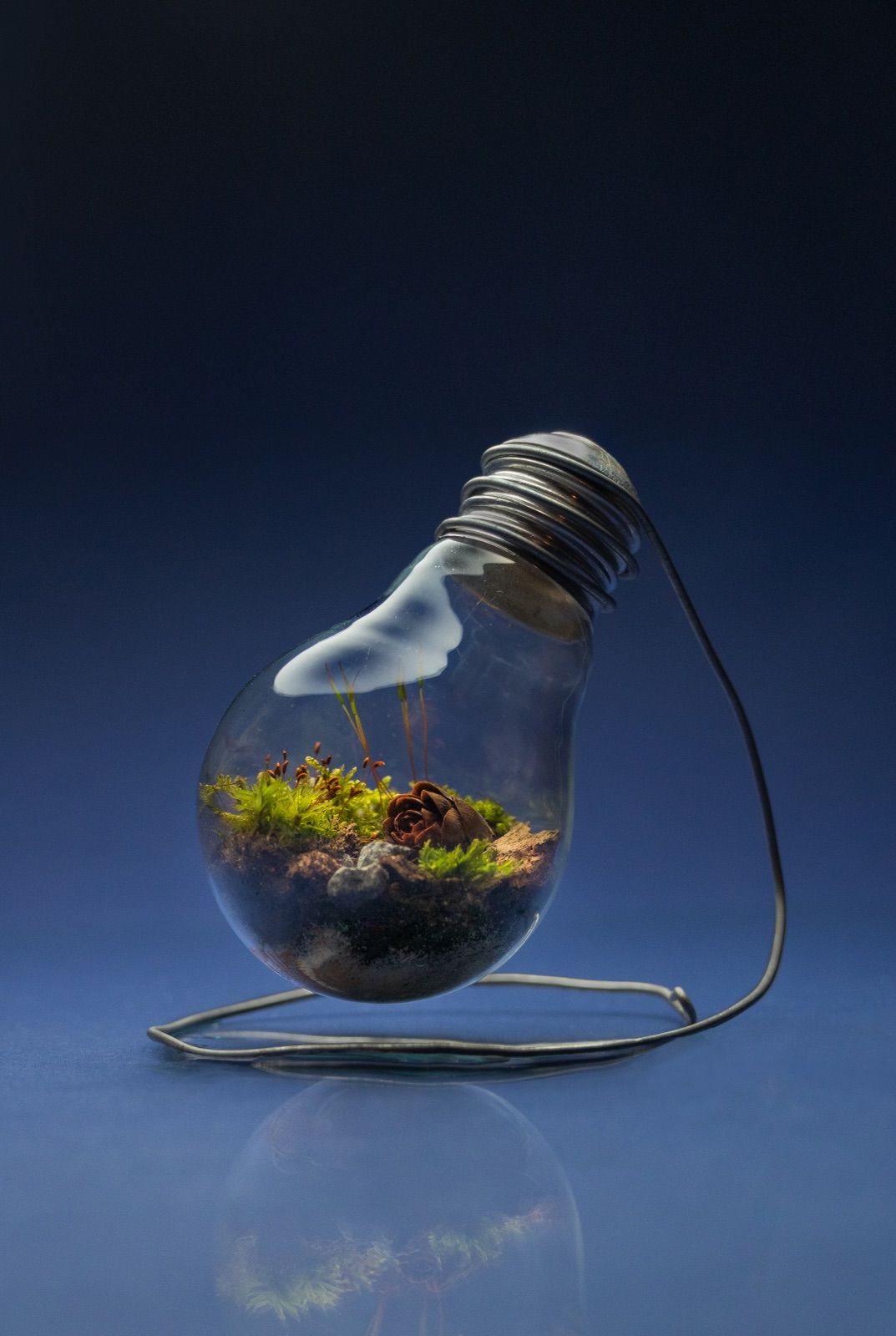 Miniatur-Landschaft in einer Glühlampe